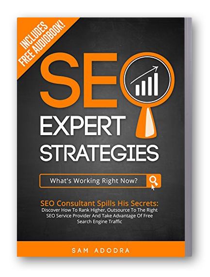The Best Seo Book in the World 3 The Best Seo Book in the World